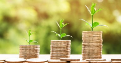 Dividend 101: A Step-by-Step Guide for Aspiring Income Investors