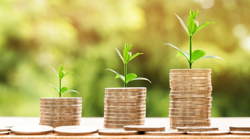 Dividend 101: A Step-by-Step Guide for Aspiring Income Investors