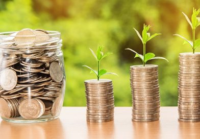 Dividends Demystified: A Complete Guide for New Investors