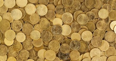 Beginner’s Blueprint to Dividend Income: Strategies for Financial Freedom