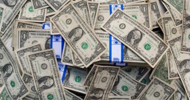From Zero to Dividend Hero: Everything You Need to Know to Start Earning