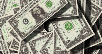 Unlocking Wealth: The Ultimate Beginner’s Guide to Dividend Income