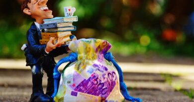 From Zero to Dividends: A Step-by-Step Guide for New Investors