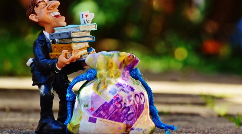 From Zero to Dividends: A Step-by-Step Guide for New Investors